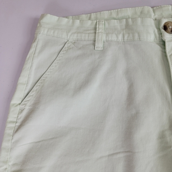 Chubbies The Sea Foams Green 5.5" Flat Front Stretch Twill Shorts Sz 34 NEW - Picture 6 of 14